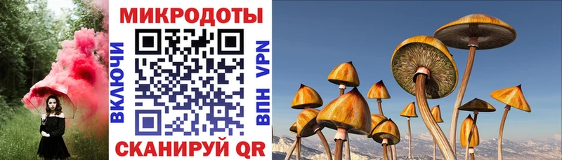 даркнет сайт  Рубцовск  Галлюциногенные грибы MAGIC MUSHROOMS 